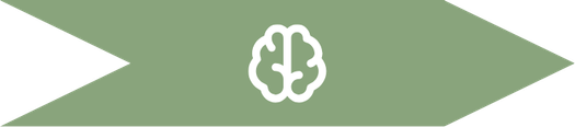 Neurofeedback y qEEG